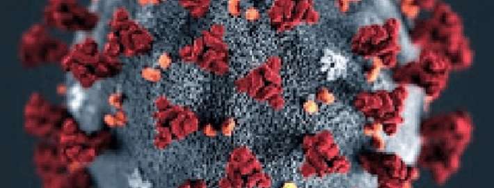 Pastor Levy de Abreu Vargas