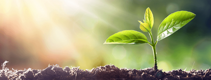 Pastor Edvaldo Sousa